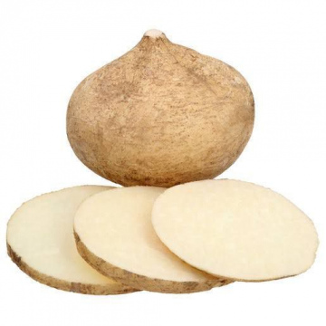 Jicama 